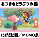 【 あつ森ルーティン】『1分間動画／MOMO島#４』#shorts