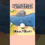 【あつ森】レアなサメをゲット？チャンスを2回も無駄にしたw【あつまれどうぶつの森】#shorts #あつ森