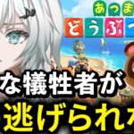 #5【あつ森 実況配信】 4年ぶりに初めからプレイ！新たな住人キャラ参戦 離島ガチャ、釣り・虫・図鑑コンプを目指して【あつまれどうぶつの森】【新人Vtuber 櫻井ヨゾラ】