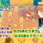 【あつ森】こっそりカブ価601&ウリ90開放配信(6:25あたりまで)【チャットに島名と名前書いてからきてね〜】