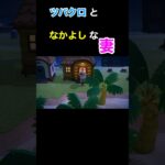 【ツバクロと仲良しな妻(笑)あつ森#75】#shorts#switch#あつ森#あつまれどうぶつの森#ゲーム