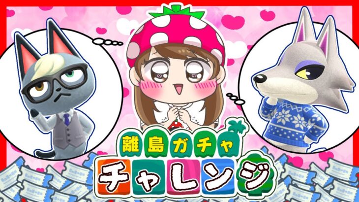 【あつ森】シベリアとジャックに会いたい…‼‼初めての離島ガチャやってみたらまさかの結果が…‼‼‼‼‼　あつまれどうぶつの森#9