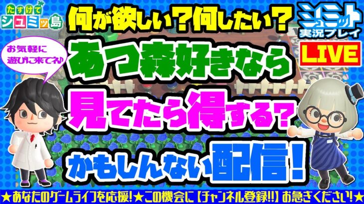 🔴【作業配信】あつまれどうぶつの森(あつ森)、スプラ３サーモンラン、テトリス99など作業しながら企画作成！【初見は概要欄必読で！】【 Mr.シュミット実況プレイ】【参加型ライブ配信】