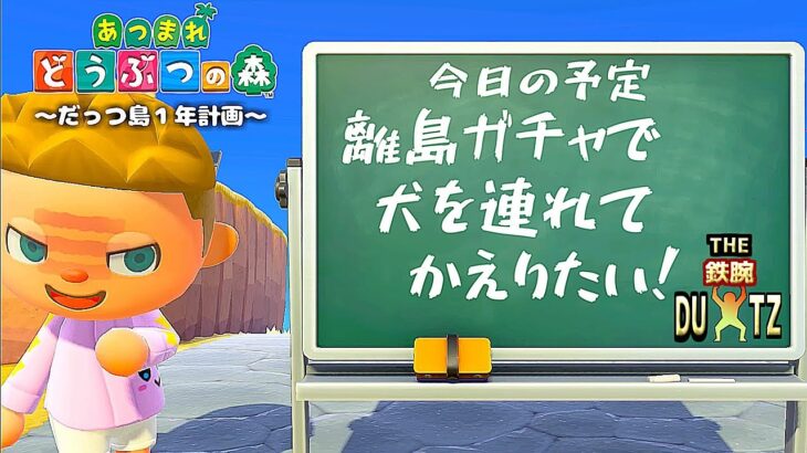 【鉄腕DUTZ～28日目～】あつ森を1ミリも知らない男が１年間でだっつ島を作る！【あつ森】