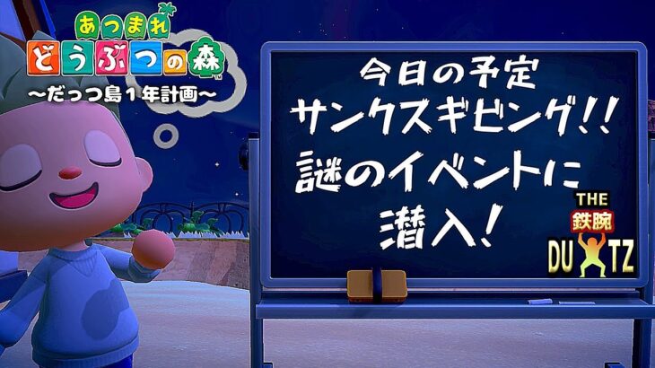 【鉄腕DUTZ～29日目～】あつ森を1ミリも知らない男が１年間でだっつ島を作る！【あつ森】