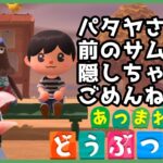 【あつまれどうぶつの森】バーチャル文鳥がやるあつ森Part4　とりの楽園にとうとう博物館が！？【新人VTuber】