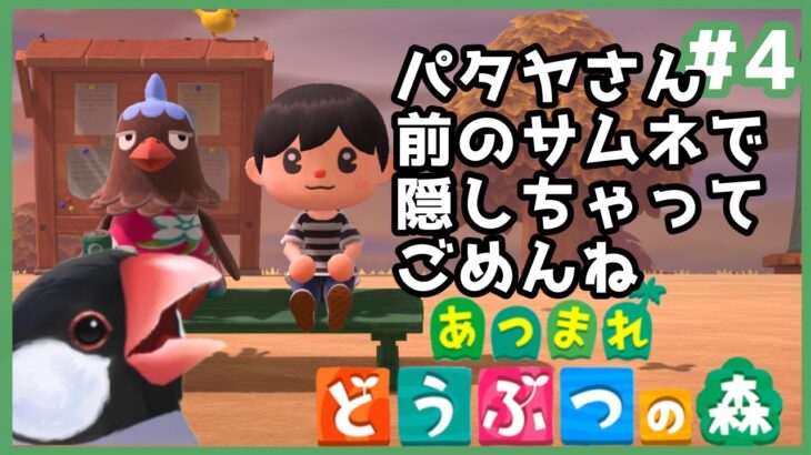 【あつまれどうぶつの森】バーチャル文鳥がやるあつ森Part4　とりの楽園にとうとう博物館が！？【新人VTuber】