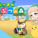 ＃あつ森　『あつまれ どうぶつの森』　フータが島にやってきた！【＃朝宮いく】【＃VTuber】