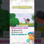 【さすが！初期住民】#あつ森 #acnh #どうぶつの森 #animalcrossing #あつ森ショート #short #shortyoutube #リアーナ