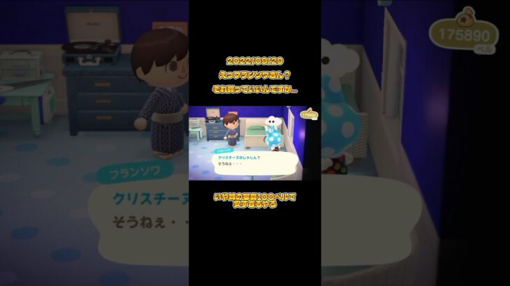 【あつ森】フランソワさん…それはクリスチーヌのしゃしん…#あつ森 #あつまれどうぶつの森 #animalcrossing #shorts