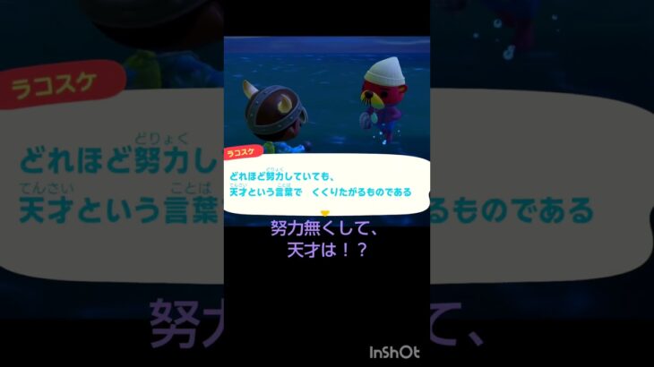 【あつ森】　ラコスケ🦦の帆立。天才と？#animalcrossing #shorts