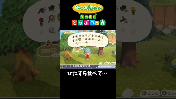 【初心者あつ森】オレンジをひたすらぱくぱく　#あつ森 #ゲーム実況  #あつまれどうぶつの森  #あつ森初心者 #shorts  #どう森