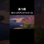 【あつ森】キャッチアンドリリース#shorts