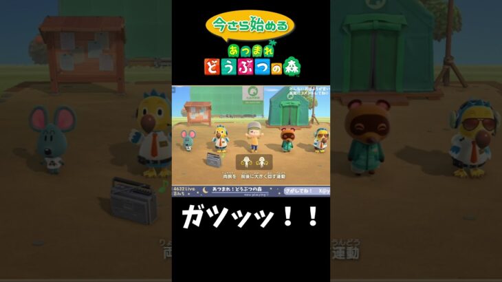 【初心者あつ森】初めてのラジオ体操　#あつ森 #ゲーム実況  #あつまれどうぶつの森  #あつ森初心者 #shorts