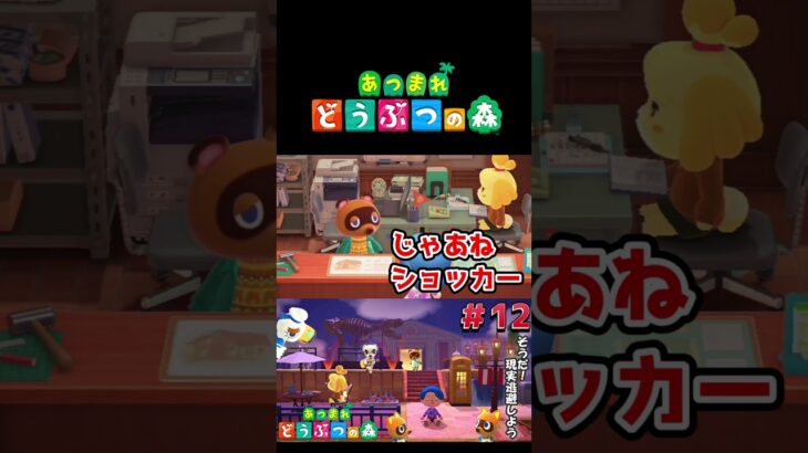 【あつまれ どうぶつの森】移設した博物館完成！ #ゲーム実況 #switch #あつ森 #どうぶつの森 #あつまれどうぶつの森 #shorts