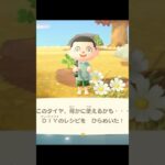 #あつまれどうぶつの森 #あつもり #あつ森 #どうぶつの森 #どう森 #どうもり