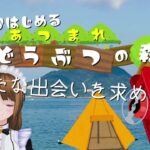 【あつまれ どうぶつの森】キャンプサイトのち、離島ガチャ【あつ森】