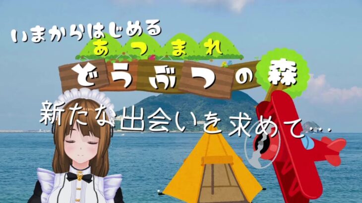 【あつまれ どうぶつの森】キャンプサイトのち、離島ガチャ【あつ森】