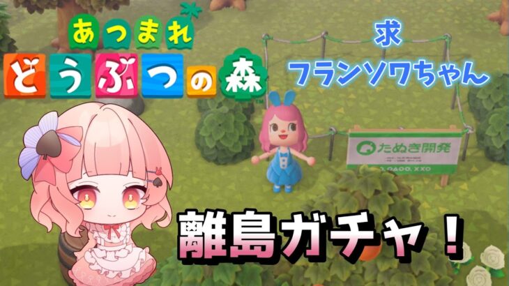 【あつまれどうぶつの森】懲りずにフランソワちゃんを求めて離島ガチャ！【あつ森】＃３３