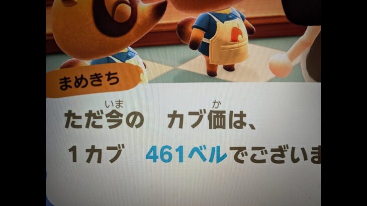 あつ森　カブ４６１誰でも参加可能！！