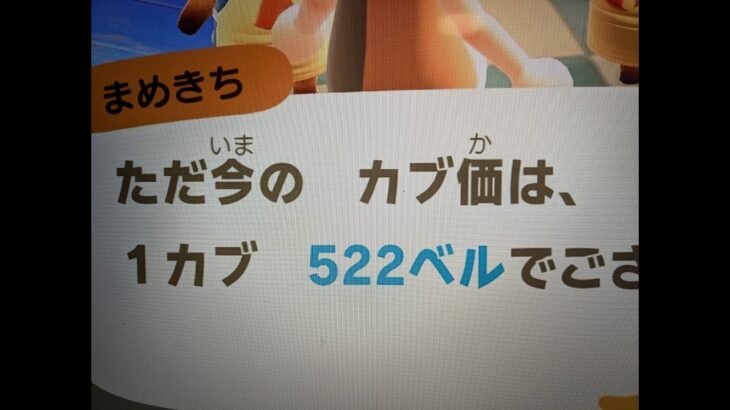 あつ森　カブ５２２誰でも参加可能！！