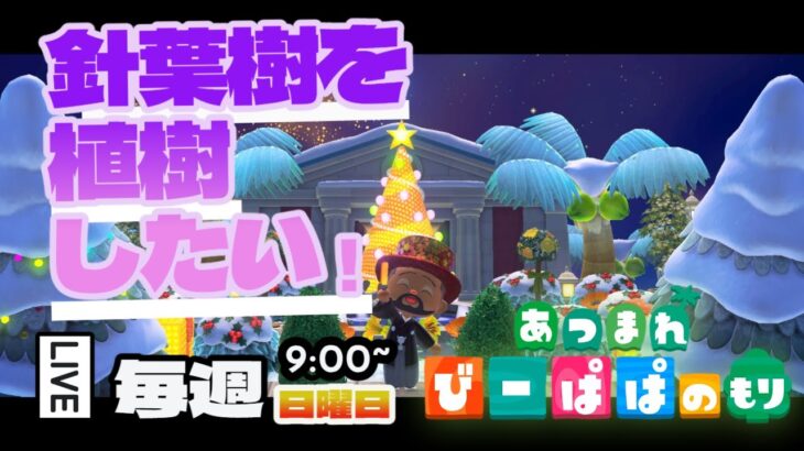 【あつ森・④⑨⑥】クリスマスへ向け針葉樹を植えていく🌳　ニチアサはパッパの森