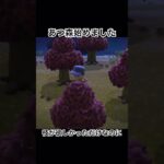 #あつ森 楽しい #あつまれどうぶつの森