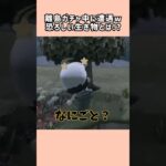 【あつ森】大絶叫！恐ろしい生き物に遭遇しましたw【あつまれどうぶつの森】#shorts #あつ森