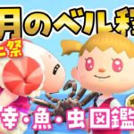 【あつ森】12月の海の幸でベル(お金)稼ぎ！高額なエビとカニを捕まえたい！【生配信】