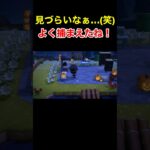 【よく捕まえたね！(笑)あつ森#129】#shorts#switch#あつ森#あつまれどうぶつの森#ゲーム