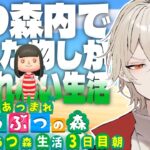 【あつ森】1週間あつ森内で入手した物しか食べれない生活～3日目 革命の朝編～【新人vtuber /  弐十】