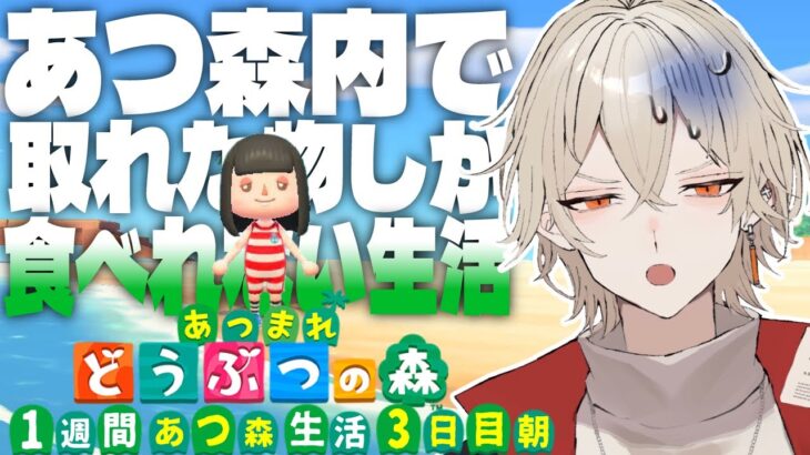 【あつ森】1週間あつ森内で入手した物しか食べれない生活～3日目 革命の朝編～【新人vtuber /  弐十】