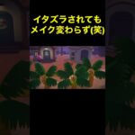 【顔変わらず(笑)あつ森#135】#shorts#switch#あつ森#あつまれどうぶつの森#ゲーム