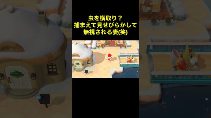 【妻よ…ドンマイ(笑)あつ森#150】#shorts#switch#あつ森#あつまれどうぶつの森#ゲーム