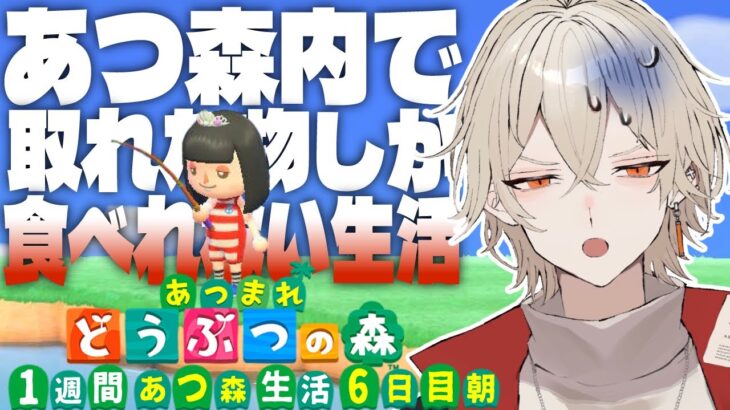 【あつ森】1週間あつ森内で入手した物しか食べれない生活～6日目 始まりの朝編～【新人vtuber /  弐十】