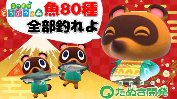 【あつ森】2024年大晦日チャレンジ！リベンジ！最初から初めて魚図鑑コンプリートするまで終わらない放送