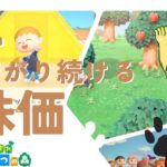 【26日目】下がり続ける株価【川鰐グラムのあつまれどうぶつの森実況】（あつ森・ポケ森）