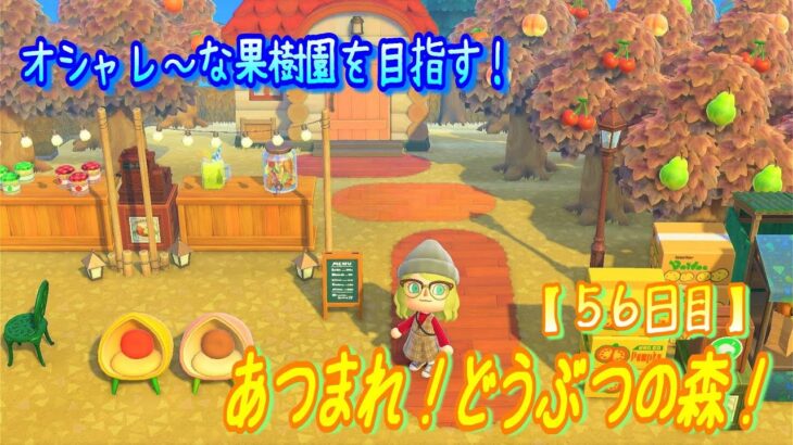 【あつ森】#56 果樹園とお野菜無人販売所とパーラーを作りたい！【マイデザなし】【島クリエイト】