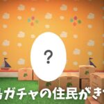 【あつ森】初めての無人島で新生活 #56｜新住民来たよ｜残りのカブ売る｜ルーティン作業｜【無言プレイ】