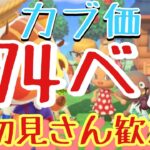 【あつ森とテトリス】あつ森カブ579ベル島など　ライブ参加型～ポケ森もきたらしい～