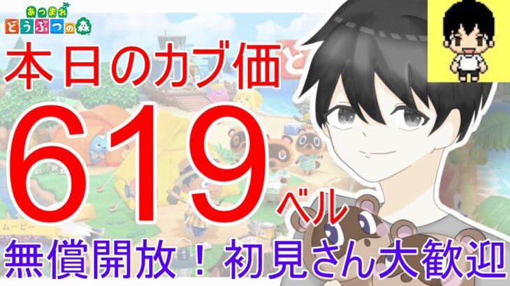 【あつ森】カブ価622.620,619ベル、ウリ90ベルを無償開放。往復OK！カブ活しましょう！【カブ活】【ライブ配信】