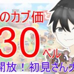 【あつ森】カブ価630,608ベルを無償開放。往復OK！カブ活しましょう！【カブ活】【ライブ配信】