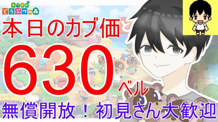 【あつ森】カブ価630,608ベルを無償開放。往復OK！カブ活しましょう！【カブ活】【ライブ配信】