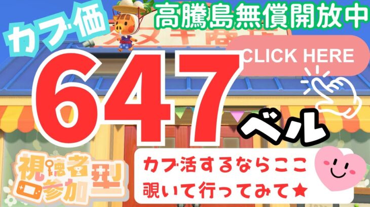 カブ価647ベル 島開放中！ あつまれどうぶつの森【視聴者参加型】