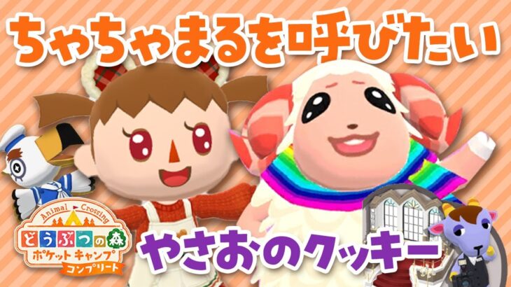 【ポケ森コンプリート】ちゃちゃまるの地図ガチャとやさおのクッキーを食べるライブ！ゼロからはじめるどうぶつの森ポケットキャンプ配信 #7