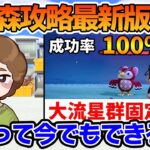 【あつ森 検証】島の天候を調べる『Meteo Nook』は今でも機能するのか!?【あつまれどうぶつの森】【ぽんすけ】