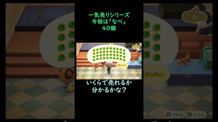 【あつ森】　一気売り シリーズ  Part742 今回は 【なべ】 40個 いくらか分かるかい？