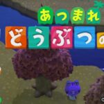 【 #あつ森 】 朝活！ 雑談しながら あつまれ どうぶつの森 やるよ！ #Switch #縦型配信 / #shorts #AnimalCrossing