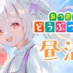 【あつ森】和風の町作りたい【新人Vtuber/兎神とと】