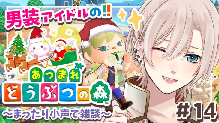 【あつ森🎅🎄クリスマスイベ】まったり雑談🌸落ち着く癒やしの空気感︙ゆるっとデイリー『あつまれどうぶつの森』🏝️🌊【橘花るい/男装アイドルVtuber】#14